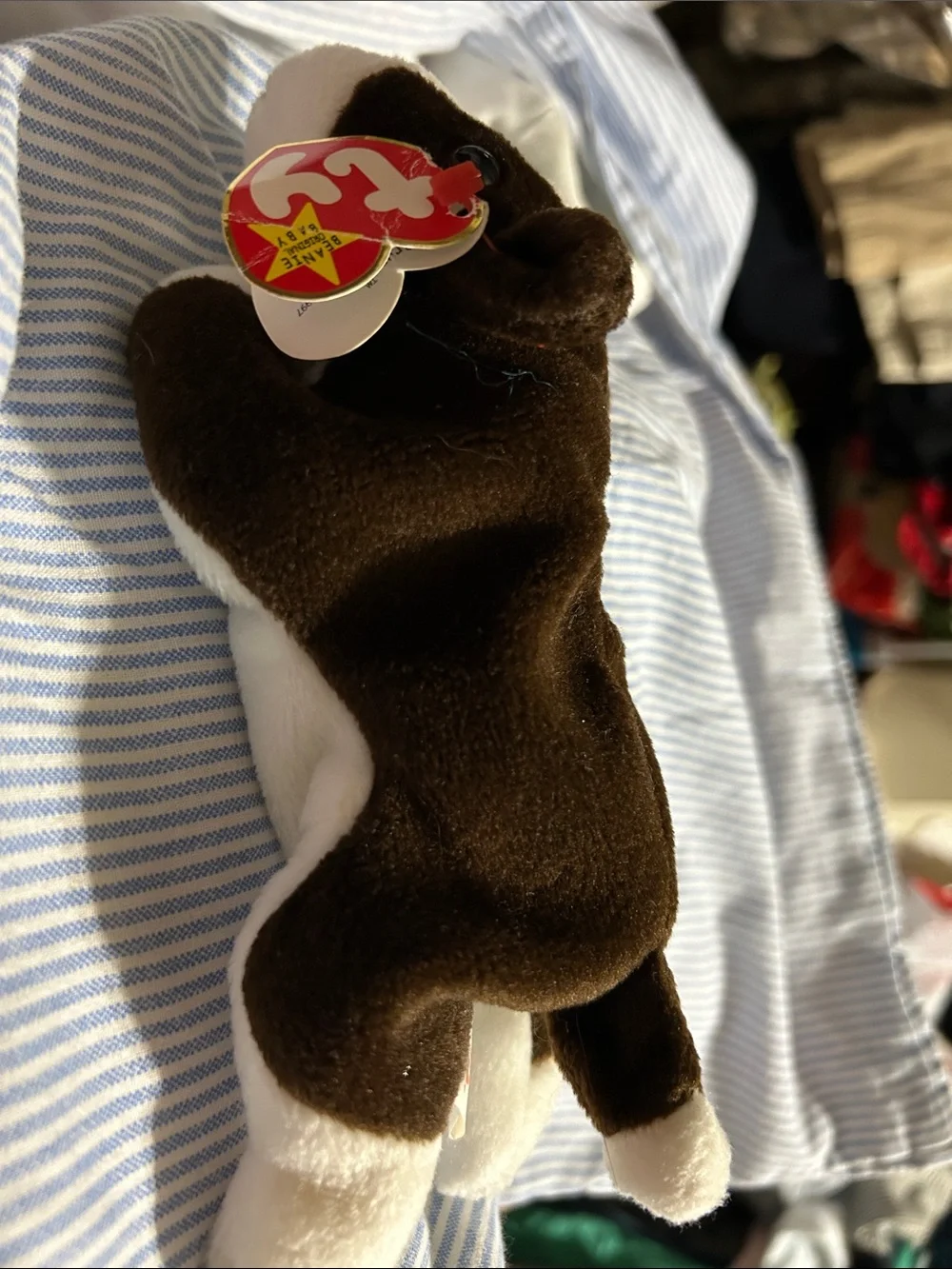 Ty Plush Guinea Pig in Brown and White with Heart Tag